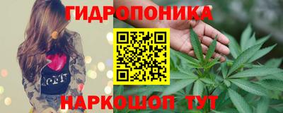спиды Свободный