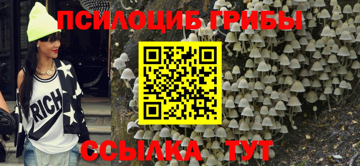 Псилоцибиновые грибы Magic Shrooms  Псилоцибиновые грибы MAGIC MUSHROOMS  Сафоново  Вход с VPN 
