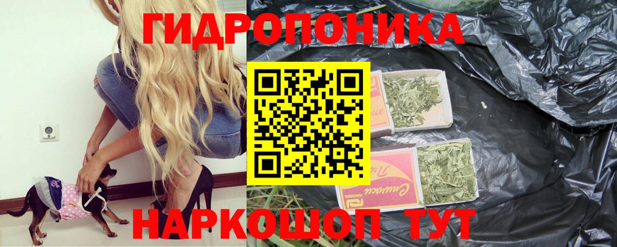 Бошки Шишки план Сафоново
